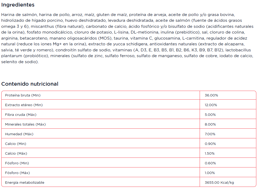 sieger-gato-castrado